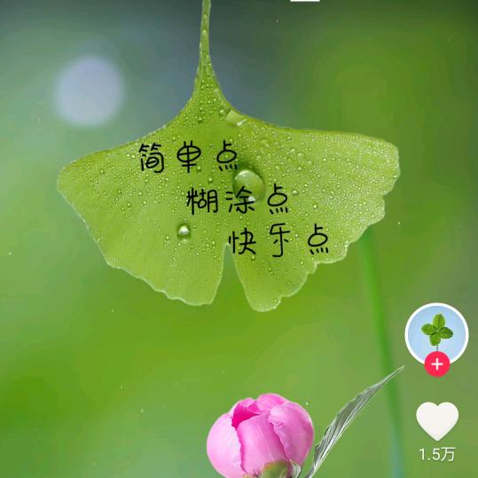兰子
