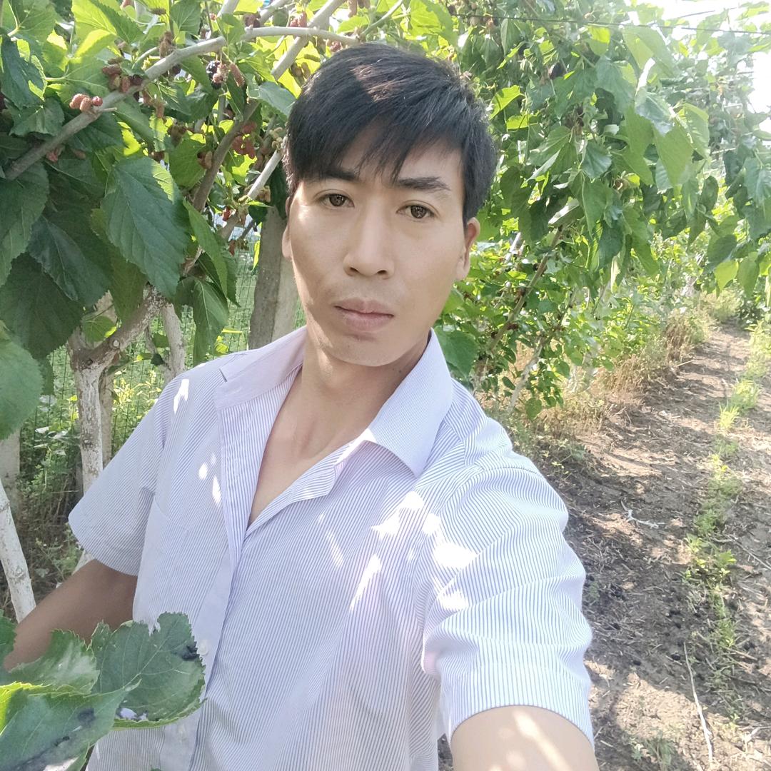 单亲爸爸