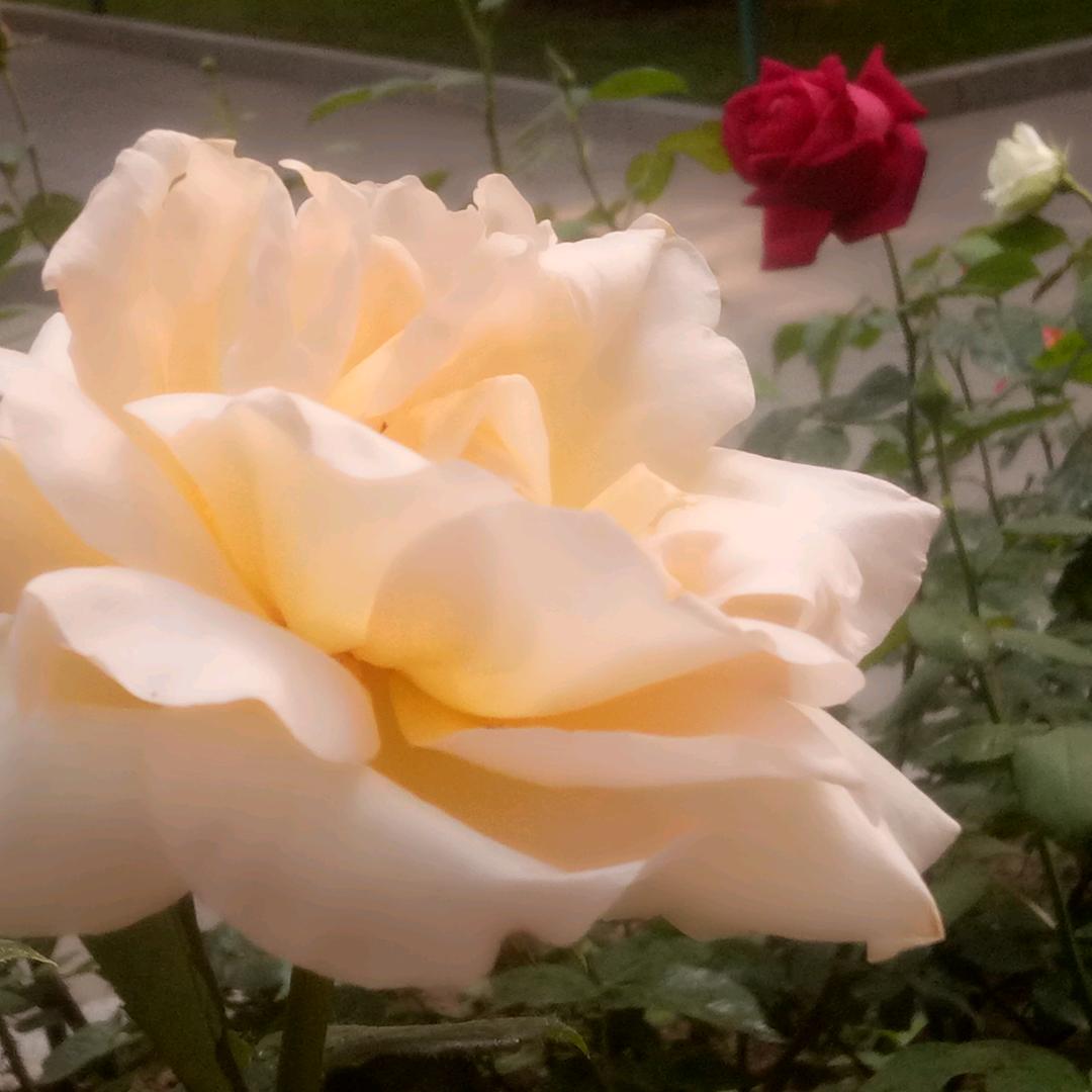 海淘淘怀旧老物件