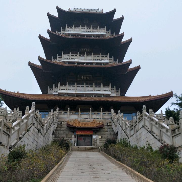 逆风飞翔