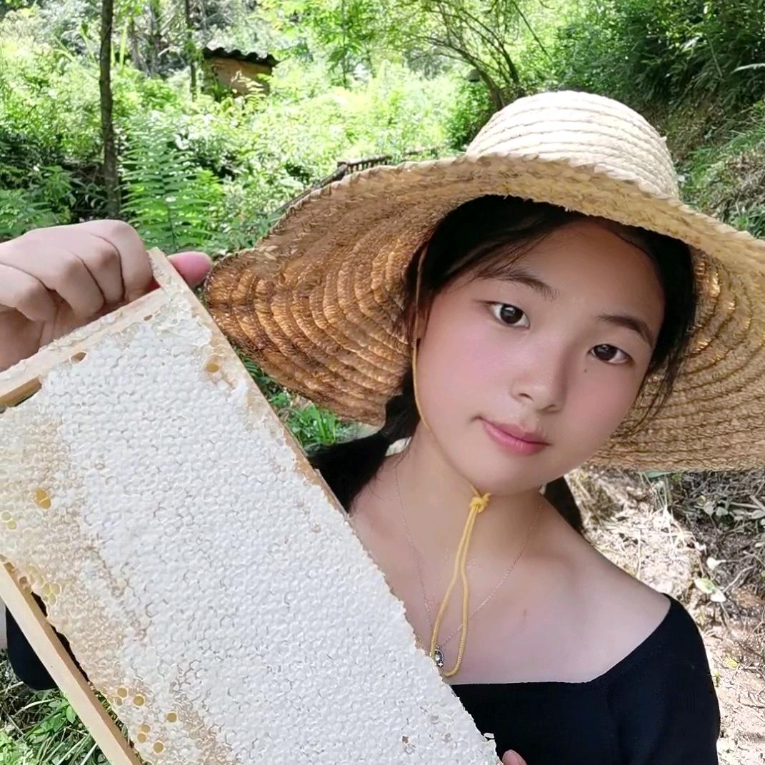 小蜜蜂小金