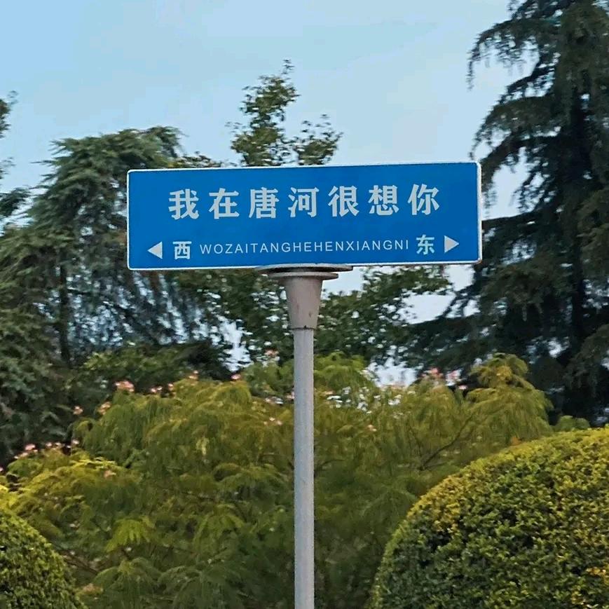 西瓜🍉