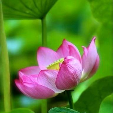 @ 中玮星悦城王海燕