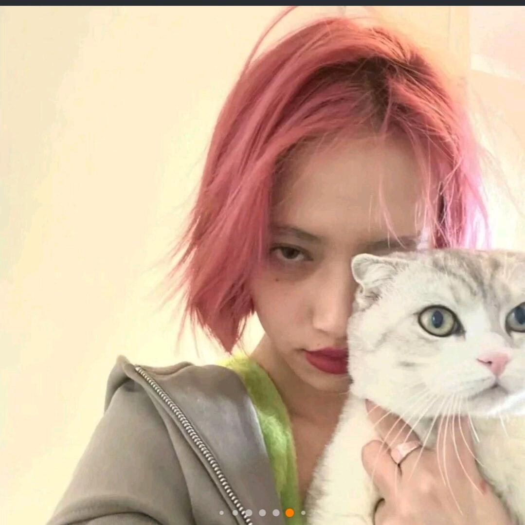 哪哈