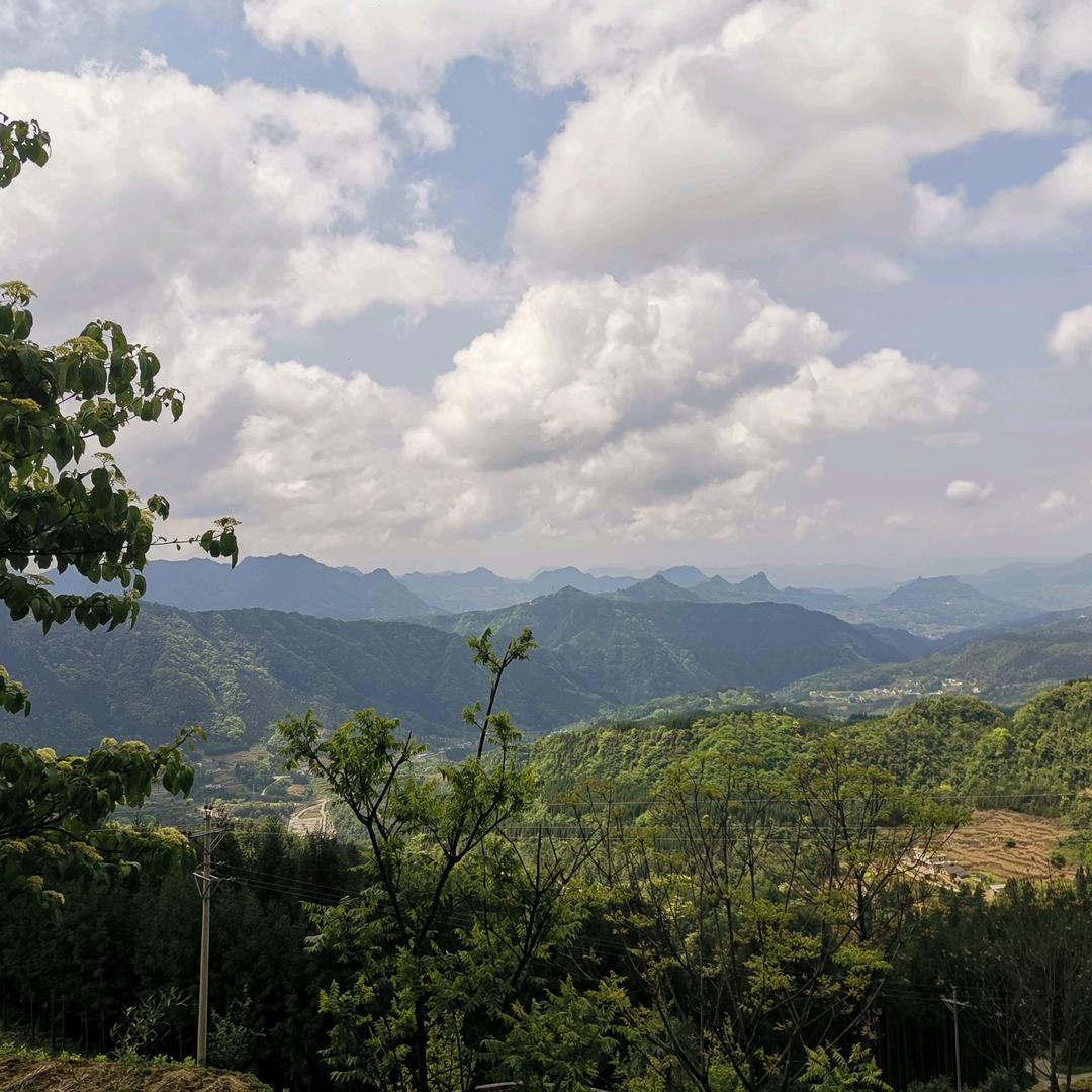 三转弯快餐李子