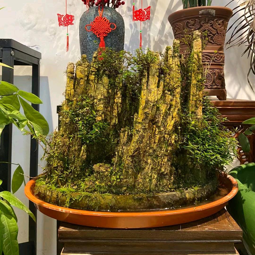 张家界九九盆景园艺