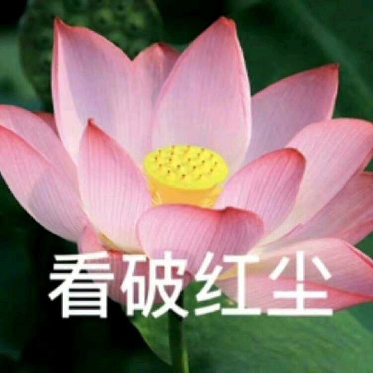 开心