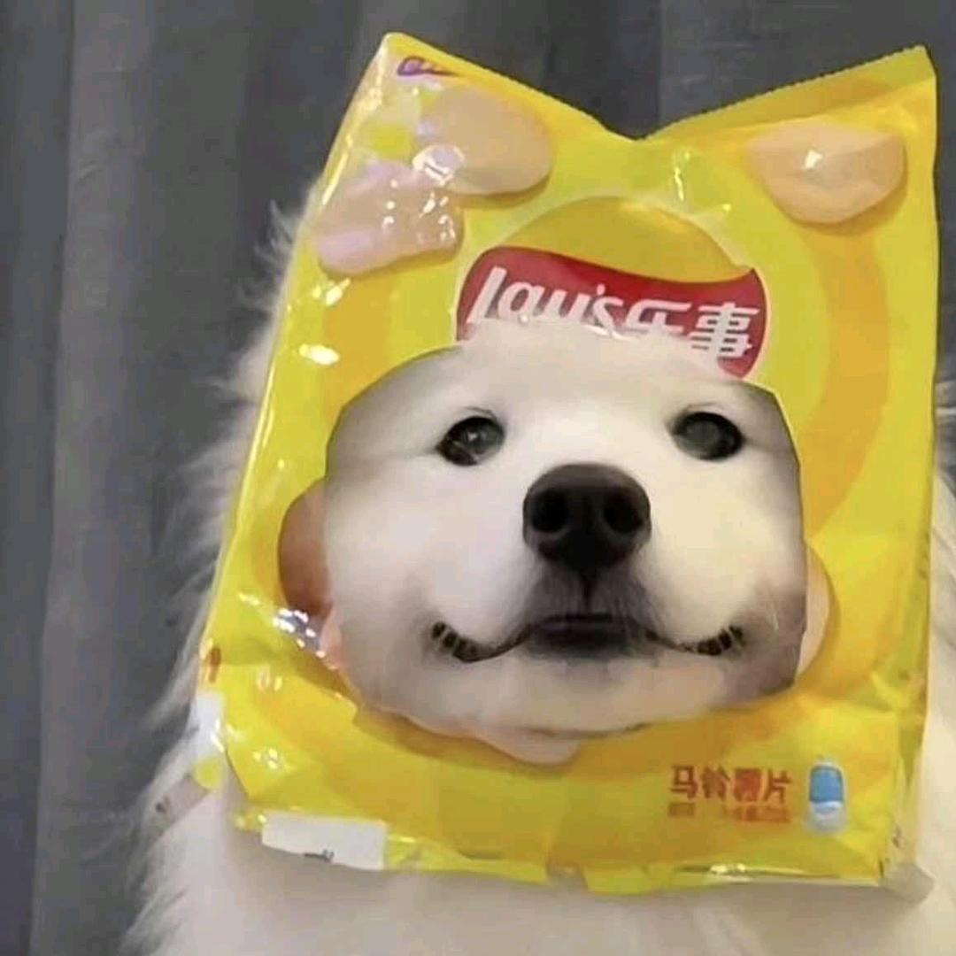 善良且上进