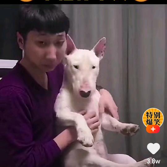 人如铜钱，内正外圆