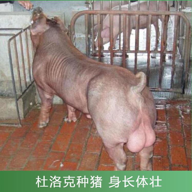 富源生态农业