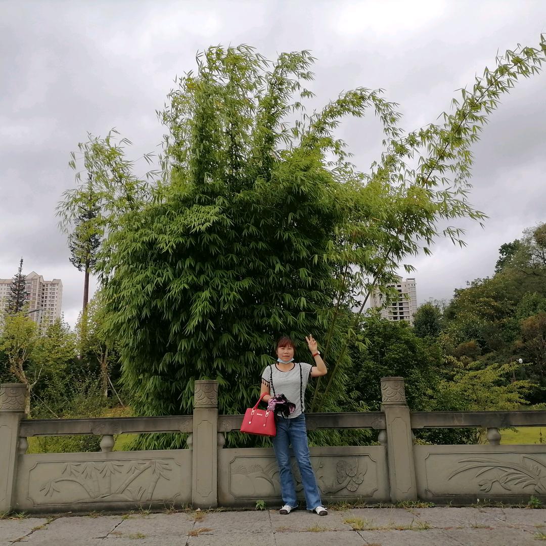 海阔天空⊙ω⊙（余）