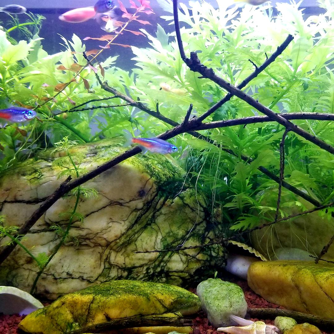 2不是2的私生活