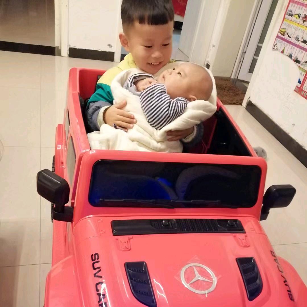 羊羊
