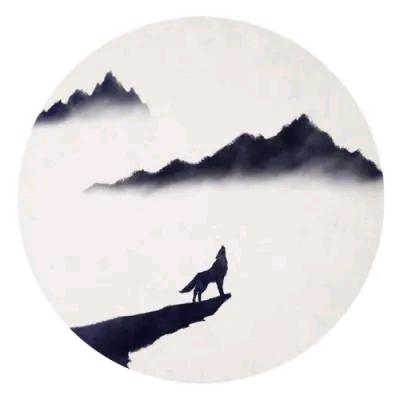 顾  不 了 你