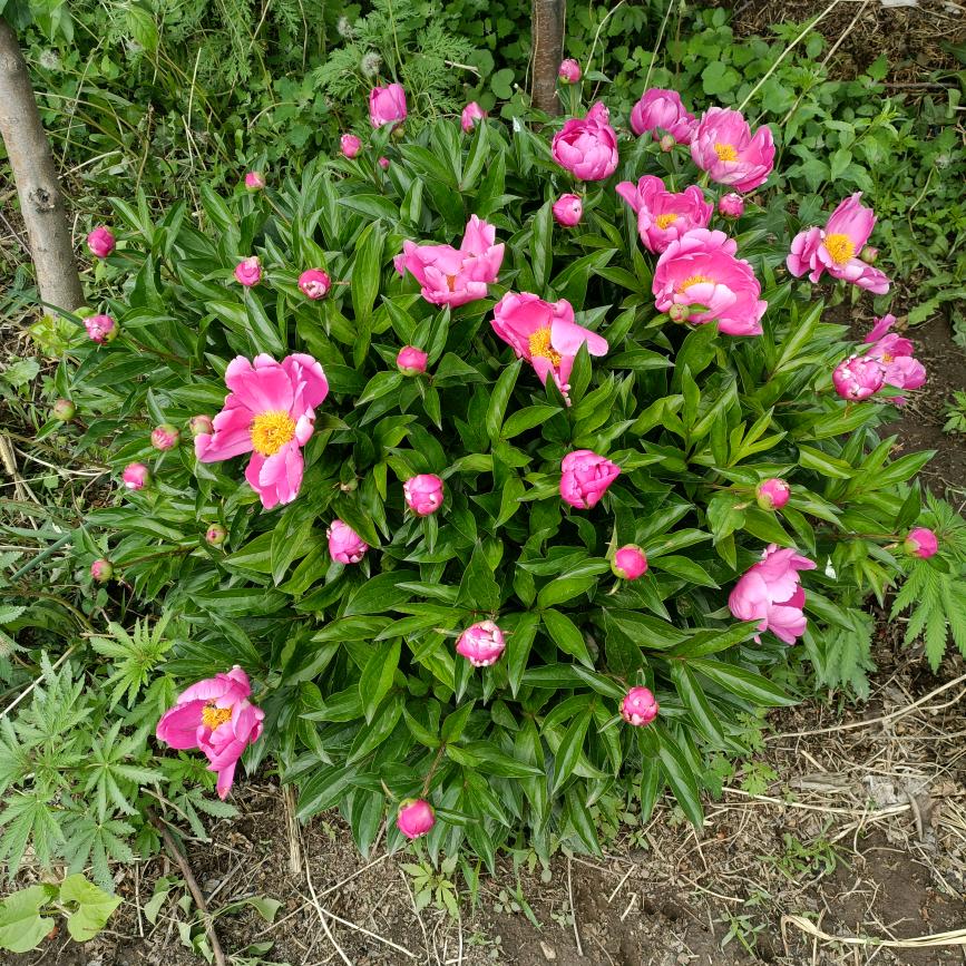 美丽人生娱乐直播间