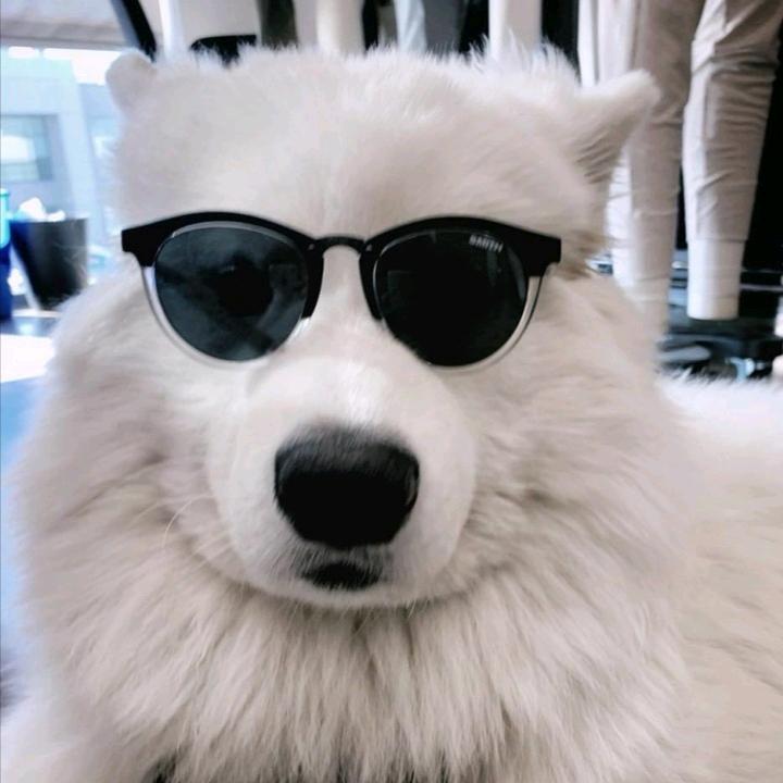 圆圆不圈圈