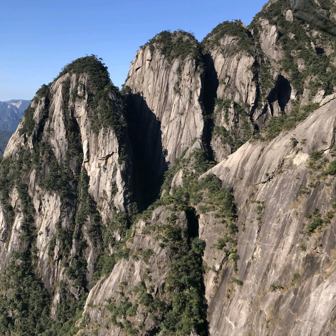 雯苑（黄山松盆景）