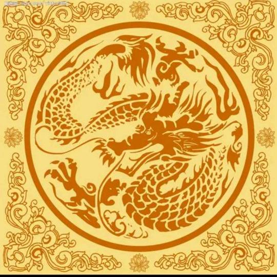 光头龙（游戏）