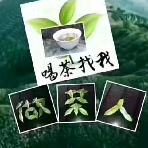 百茶酒