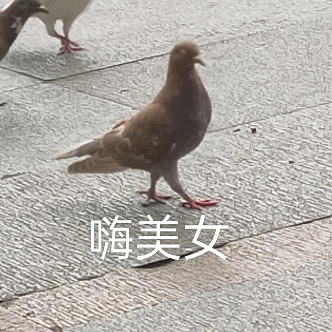 keana头像