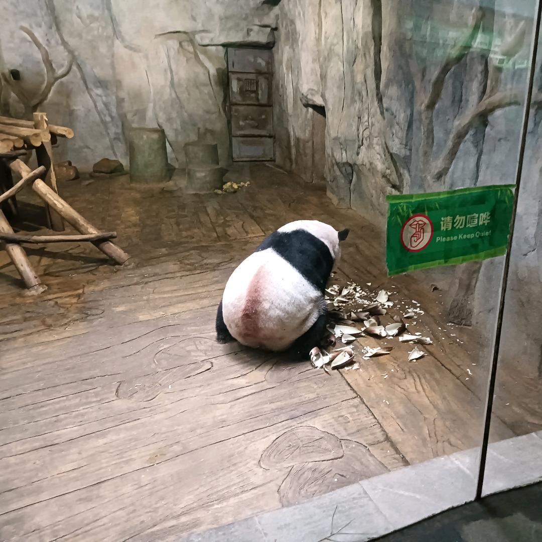 宅男