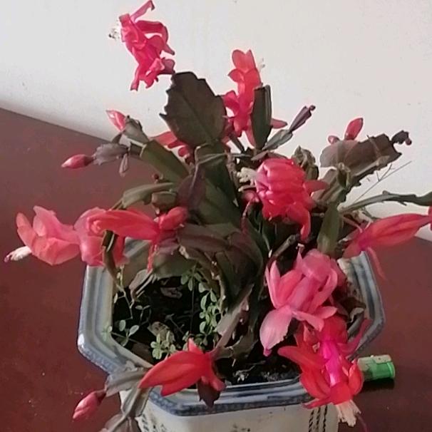 一生平安