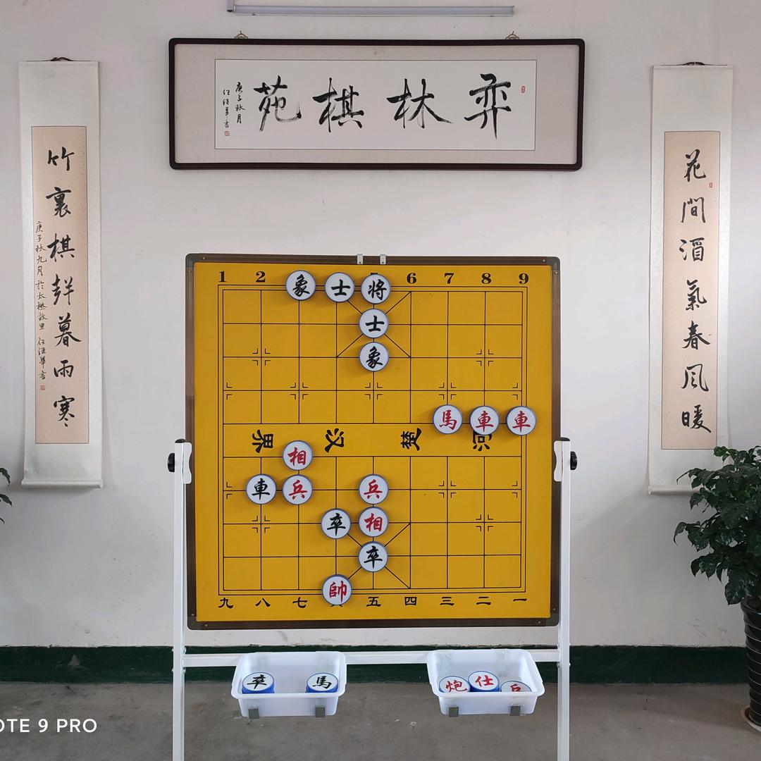弈林棋苑张聪聪