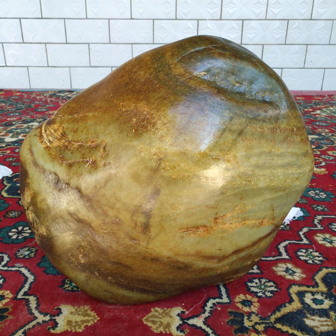 甲壳虫