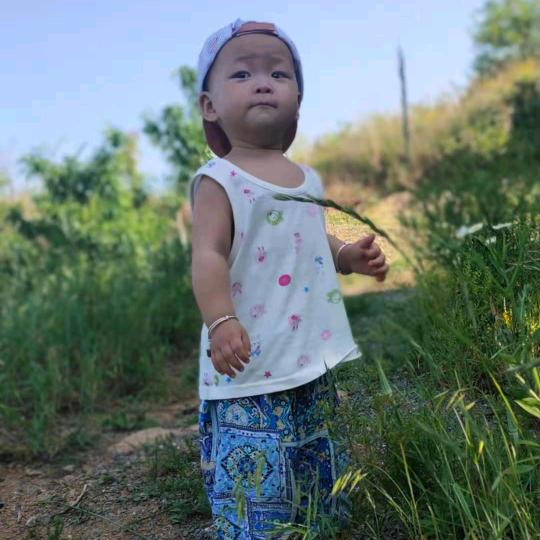 贪财好色_一身正气