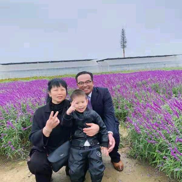 看淡随缘🌸