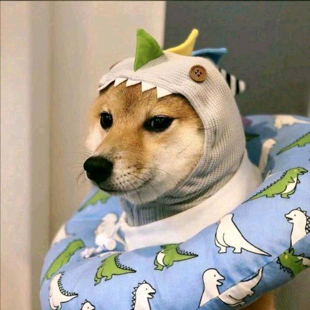 开胃山楂高 •͈ᴗ•͈