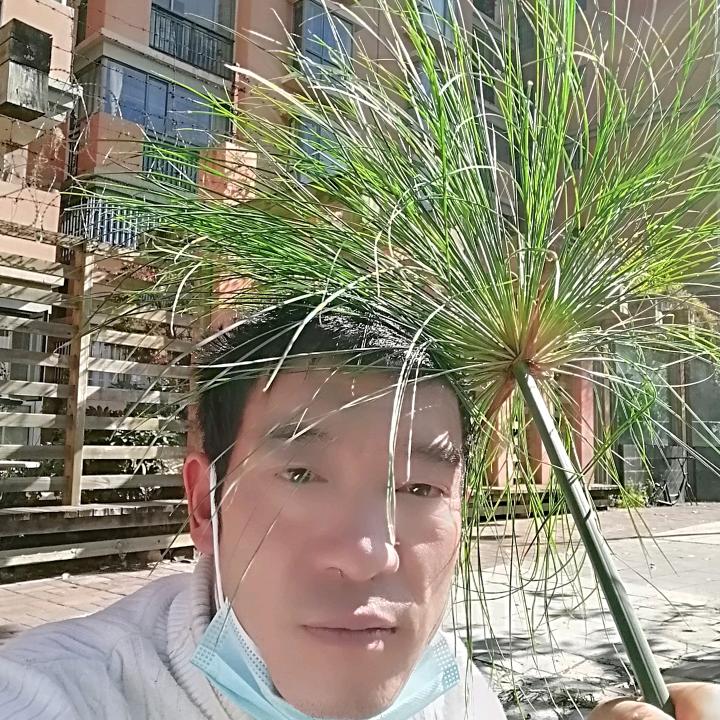 全家快乐贺