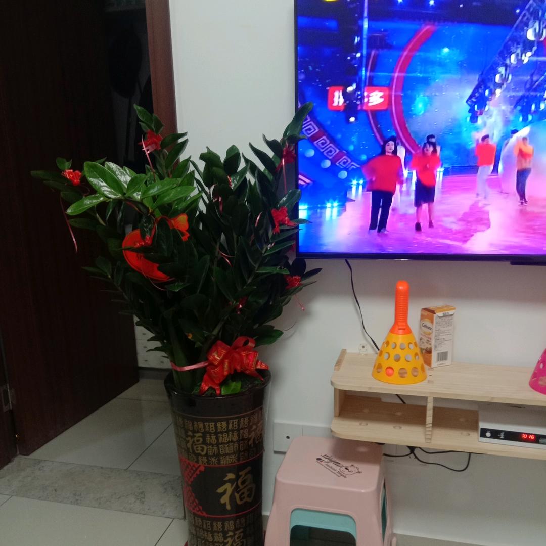 沈一一
