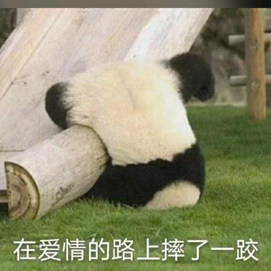一个西瓜