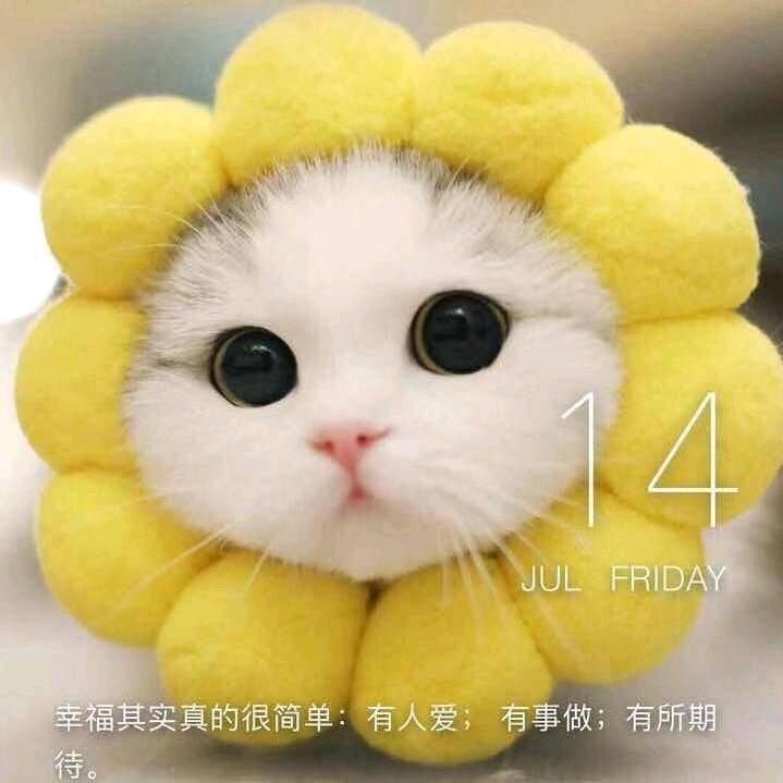 手可摘星⭐️陈⭐️💫