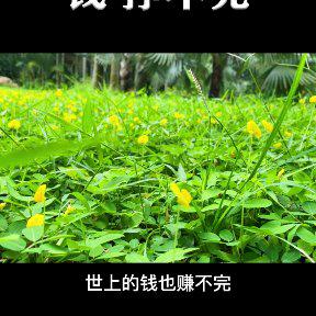 心静