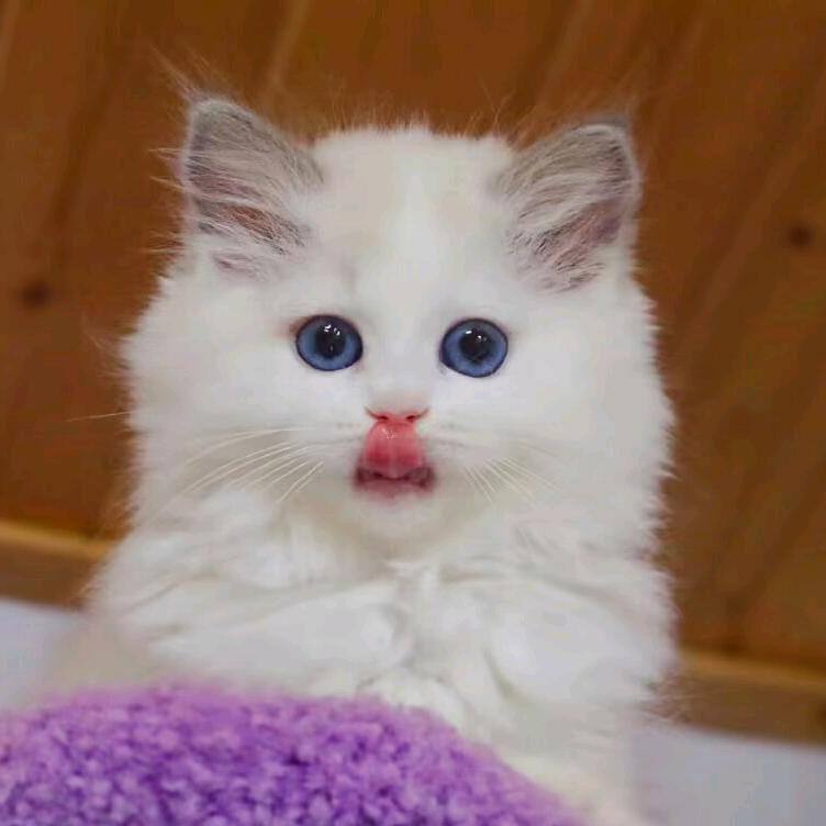 一笑生花