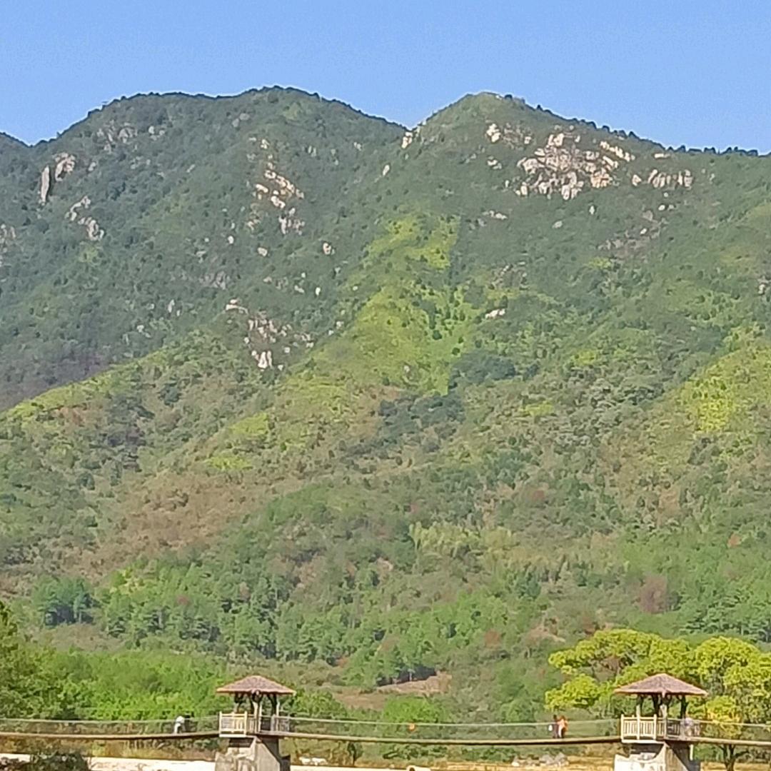 吹尘