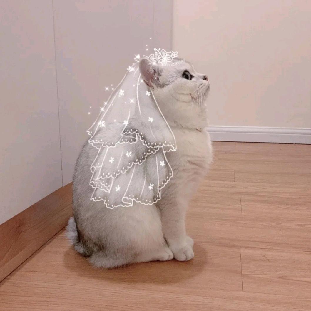 清乐
