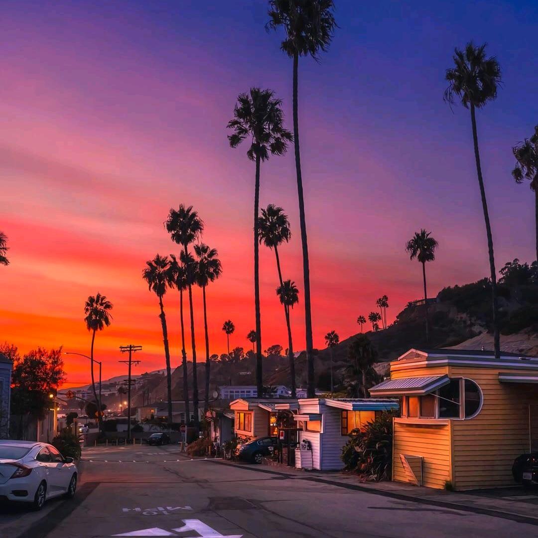 晓月望山秋无痕