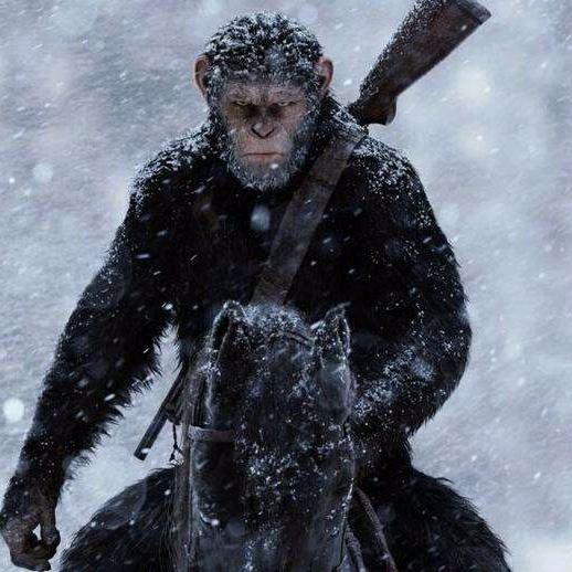 纳雍县乐治无忧山庄