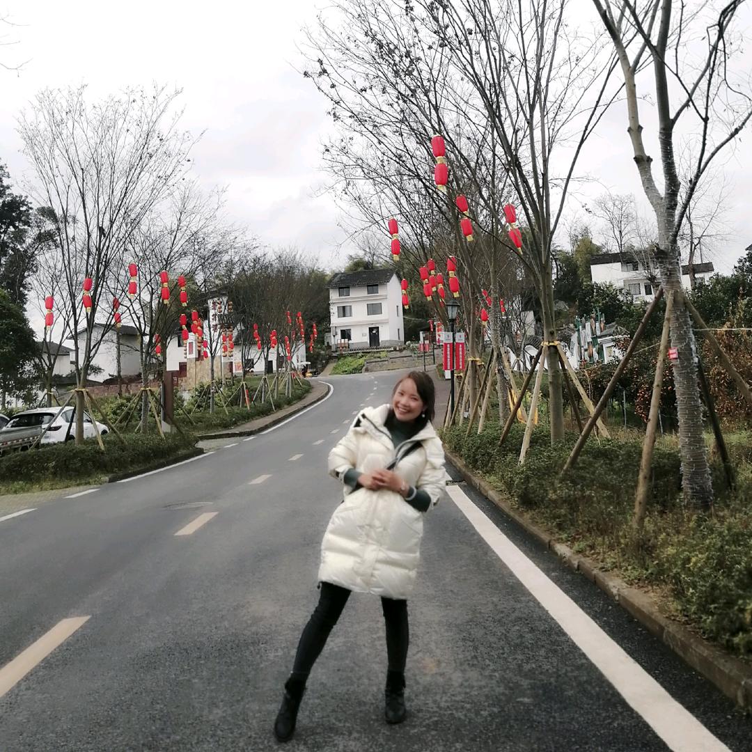 🇨🇳燕子