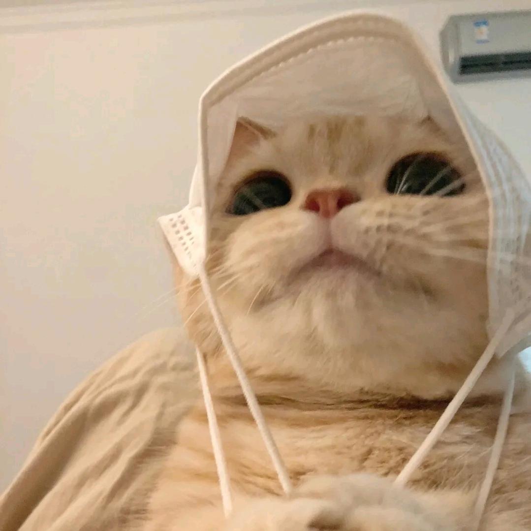 头发乱了