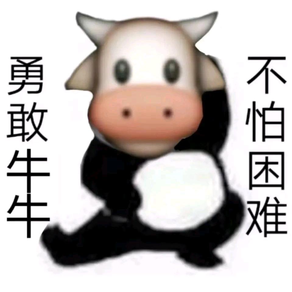 肥了个大橙头像