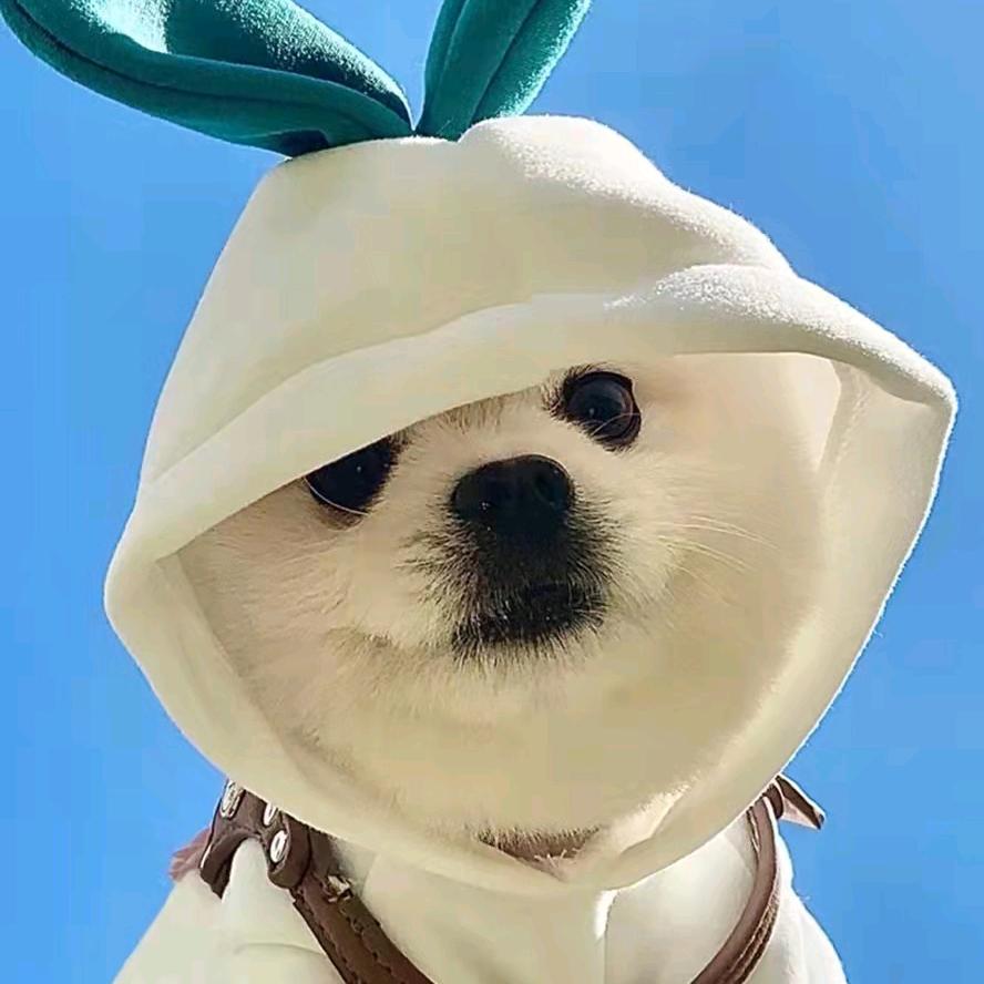 糖小果快乐租房