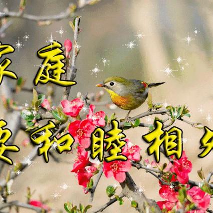 超有幸福数字家政秀姐