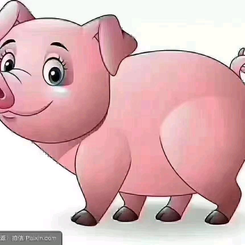 月亮哥😊😀️😘️