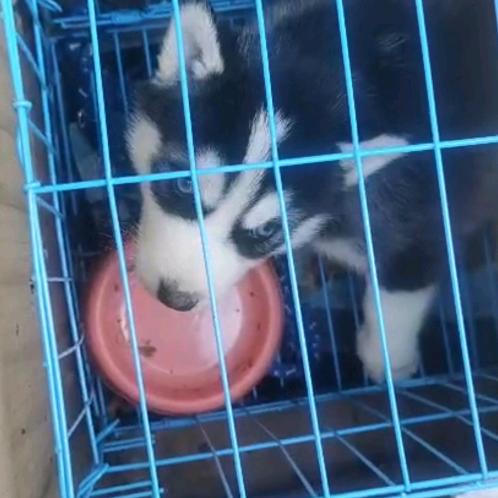 ᰔᩚ꯭᭄ꦿRu此幸福ૢེ࿐