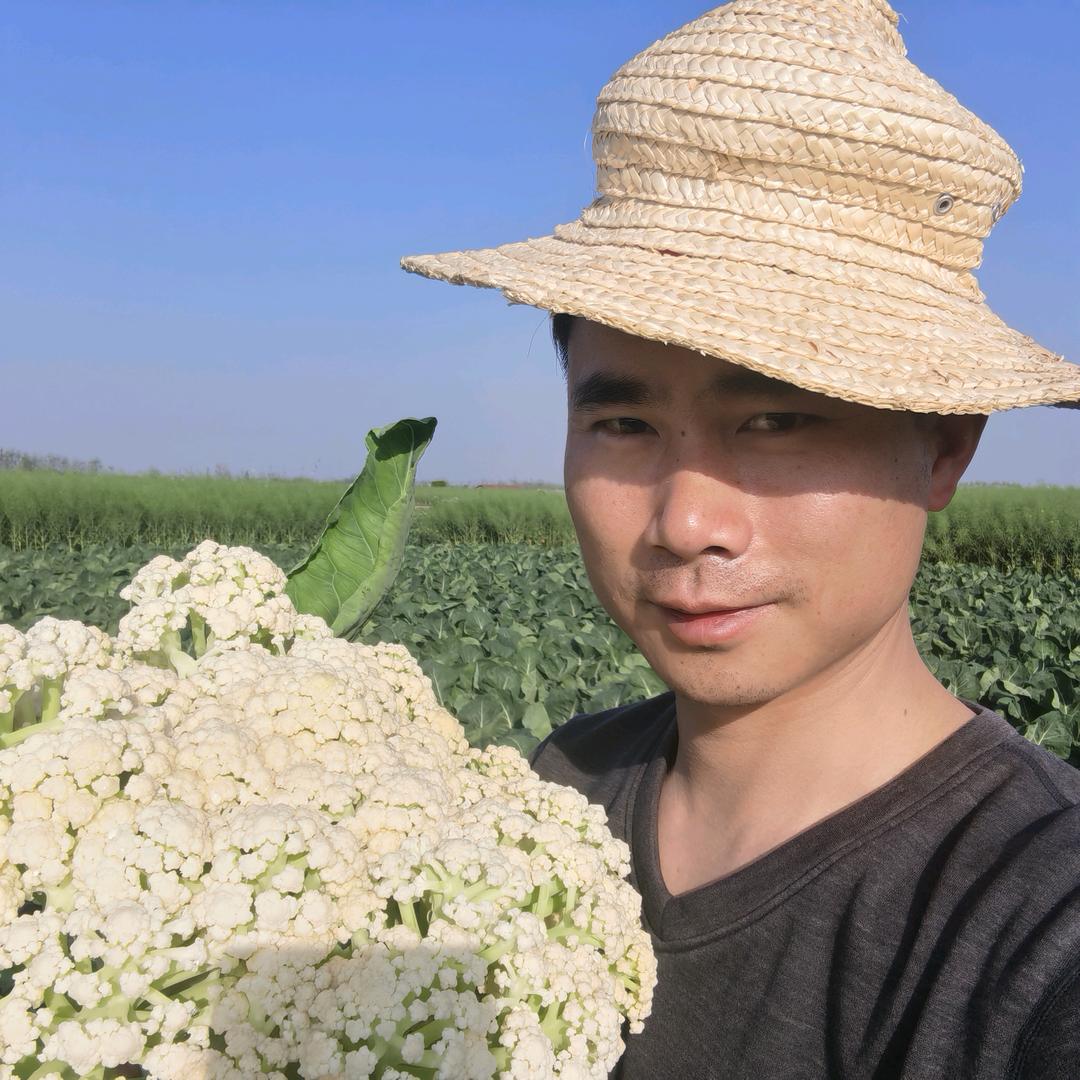 湖畔余生