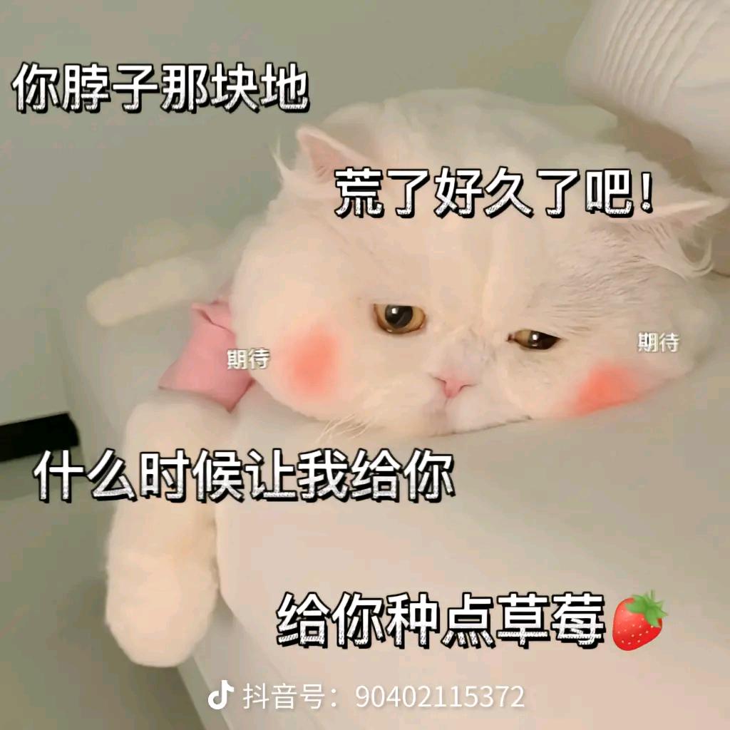瑜小小